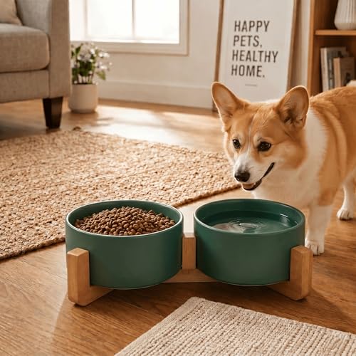 Ceramic Dog and Cat Bowl with Wood Stand Non (3.6 cups / Green × 2)