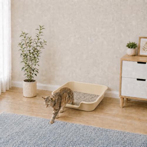 Extra Large Low Entry ABS Cat Litter Box (Large (Pack of 1) / Beach sand)