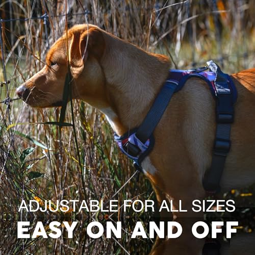 Embark No Pull Dog Harness (M / Santa Monica)