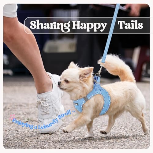 Dog Harness Medium Sized and Leash Set (Blue & Plaid Trim / L (chest: 18.2 - 20.5"))