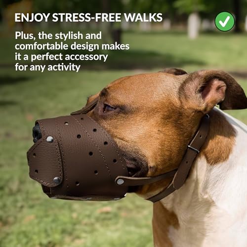 Leather Basket Muzzle (Black Closed)