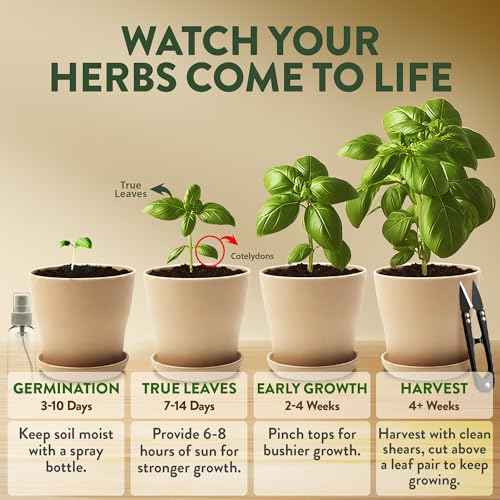 4 Herb Indoor Garden Kit