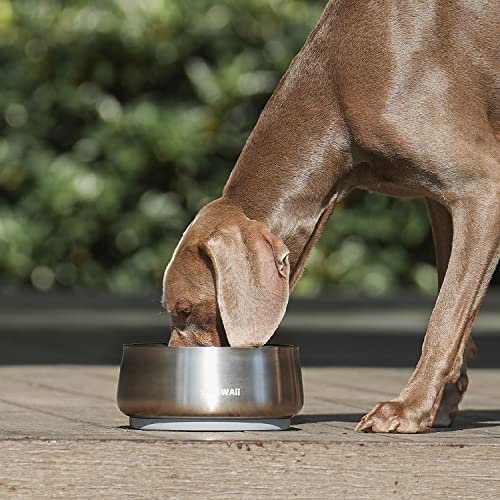 Dog Bowl 68 oz Stainless Steel Food and Water Bowl (68oz / Silver Polish)