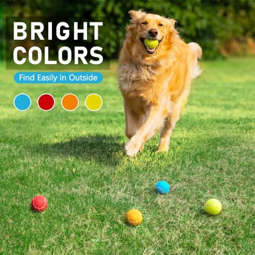 Tennis Balls for Dogs 3 Pack 2.5” (2.5" Non-Squeaky / 3 Pack, Yellow)