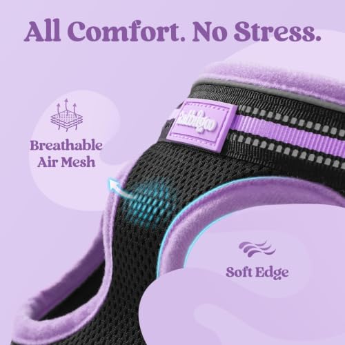 Cat Harness and Leash Set (S / Black-Light Purple)