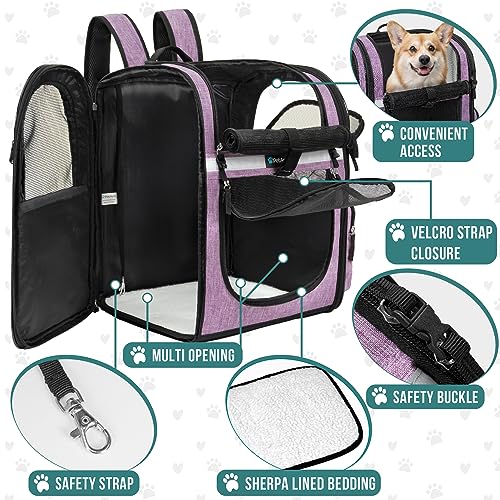 Dog Backpack Carrier (Purple)