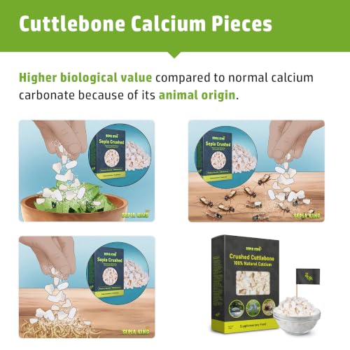 Crushed 100% Natural Calcium Supplement