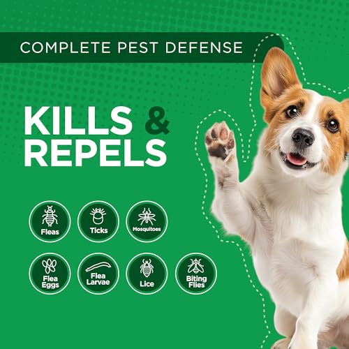 Activate II Flea and Tick Prevention for Small Dogs (Small)