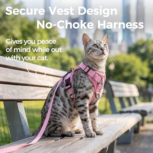 Cat Harness and Leash Set (Pink / Medium)