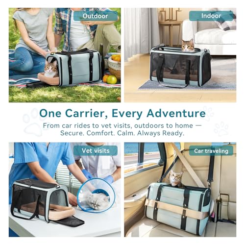 Large Cat Carrier with Patented Safety Buckles (19.0"L x 12.0"W x 12.0"H / Cyan blue)