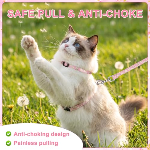 2 Pack Floral Cat Harness and Leash (Floral Pink Green)