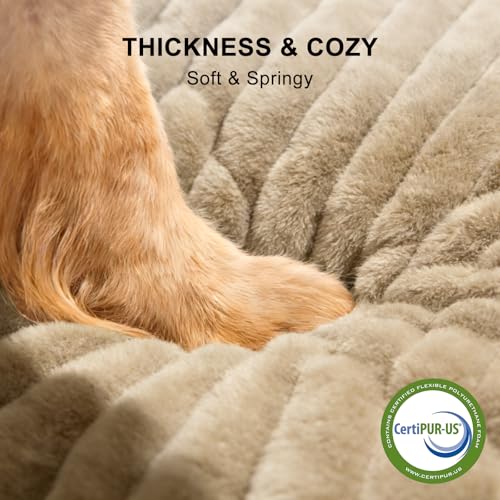 Dog Bed for Small Dogs (Beige / S (20"x19"x6"))