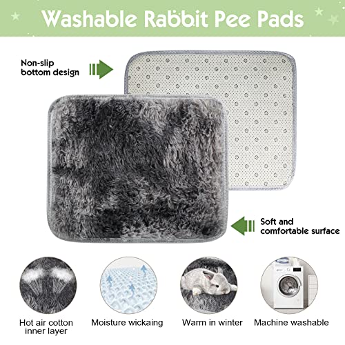 Large Rabbit Hideout (Walnut Style 1 / Large)