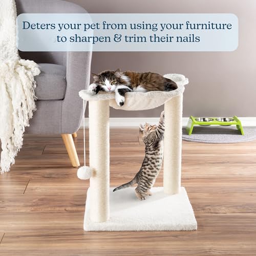 19 Inch Cat Scratching Post with Hammock ? Sisal Fabric and Carpet Small Cat Tree (White)