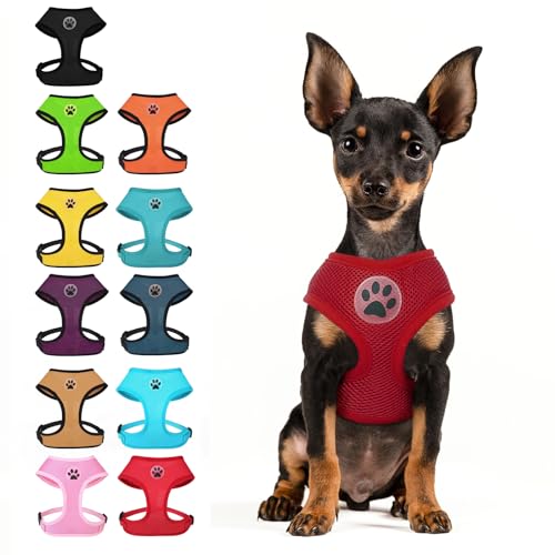 Small Dog Harness (XS (NECK: 10", CHEST: 10"-14") / Red)