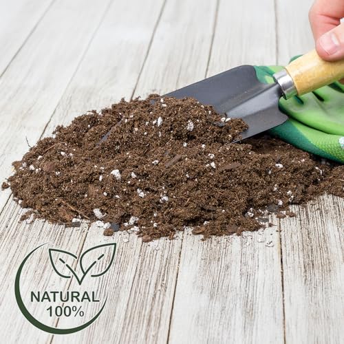 Money Tree Soil (4 Quarts)