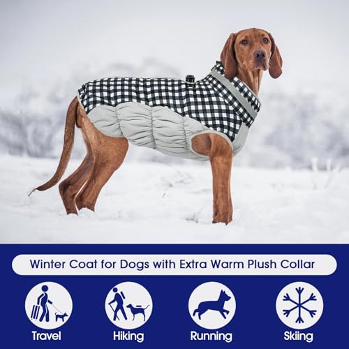 Dog Coat for Large Dogs (Checkerboard / XXXL(chest:43in))