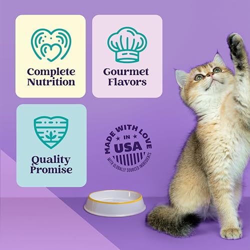 A Strong Heart Cat Food (3 Ounce (Pack of 24))