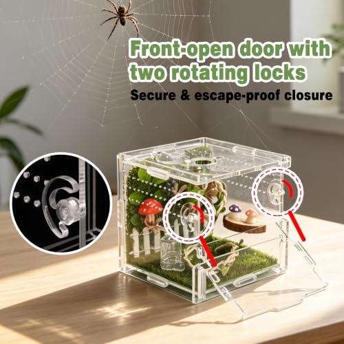 Jumping Spider Enclosure Kit 14 (Green-Scandi style)