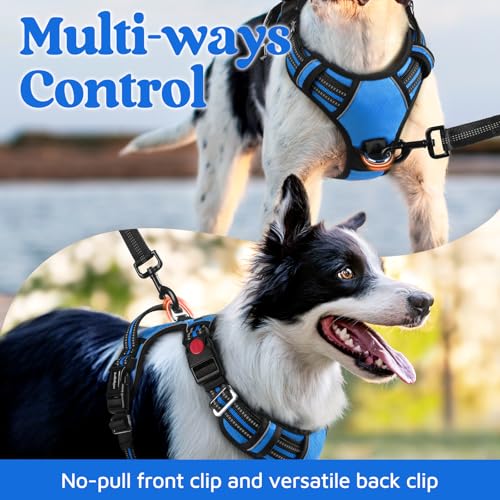 Dog Harness Small Sized (Blue / Small)