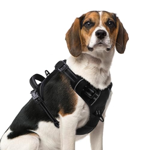 No Pull Dog Harness Medium Sized (Black / Medium)