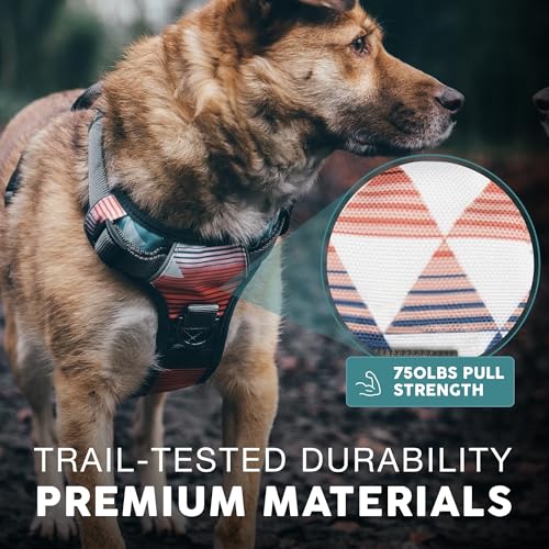 Embark No Pull Dog Harness (XS / Santa Monica)