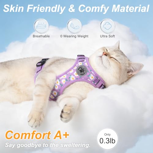 Cat Harness and Leash Set (Purple / M (Chest: 12 - 19"))
