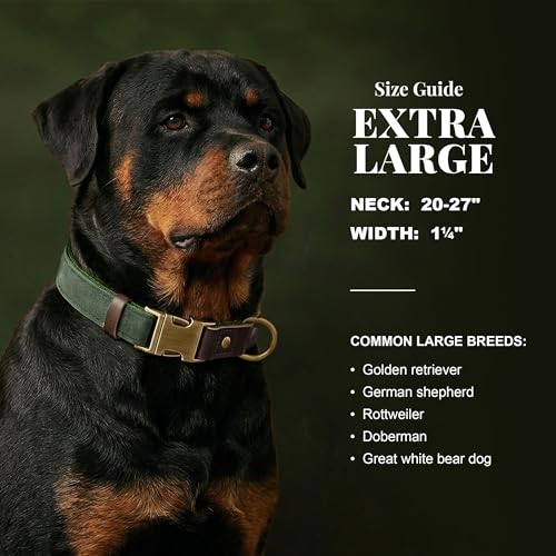 PU Leather Dog Collar for Large Dogs (Green / XL: Neck 20-27", Width 1¼")