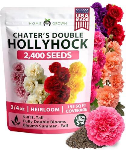 Hollyhock Seeds