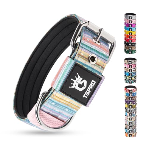 Heavy Duty Thick Dog Collar with Metal Buckle for Medium Dogs (M – Fits Neck 15.8"-18.9" / Dopamine Vibrant Print)