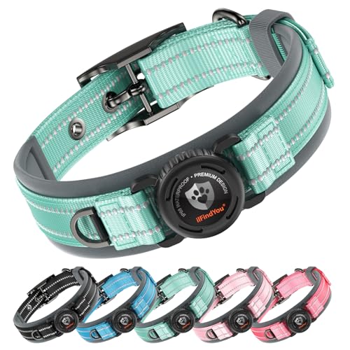 Heavy Duty Dog Collar with AirTag Holder (Cyan / M (17-19in Neck))