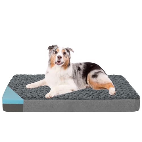 Orthopedic Memory Foam Bed for Large Dogs (Rose Plush / Large-35"x 22" x 3")