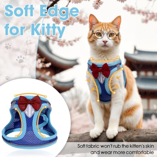 Cat Vest Harness and Leash Set (Blue / L)