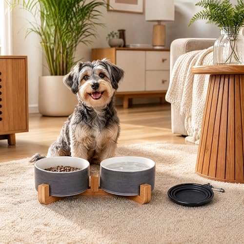 Ceramic Cat Dog Bowl Set with Wood Stand (Grey White / 400ML*2)