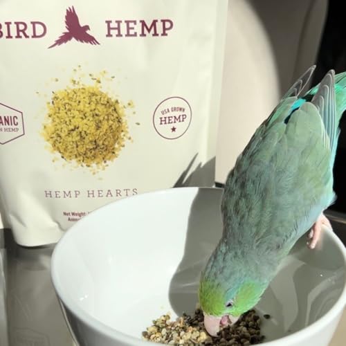 Organic Hemp Hearts for Birds (8 Ounces)