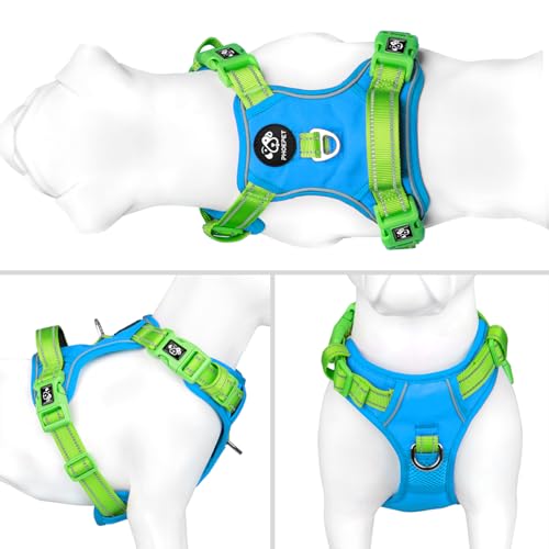 No Pull Dog Harness (Blue Base & Green Straps / Extra Large)