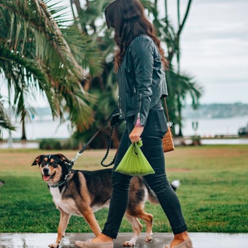 Certified Home Compostable Dog Poop Bags (Forest Green / 270 Count (Pack of 1))