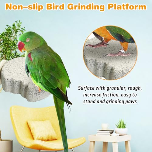 8 PCS Bird Perch Parrot Beak Grinding Stone Calcium Mineral Parrot Perch Foot Claws Trimmer Chewing Toy Bird Cage Accessories for Small Medium Budgie Cockatiel Conure Lovebird