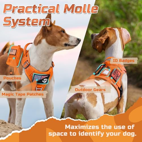 Tactical Dog Harness for Medium (Orange / Medium)