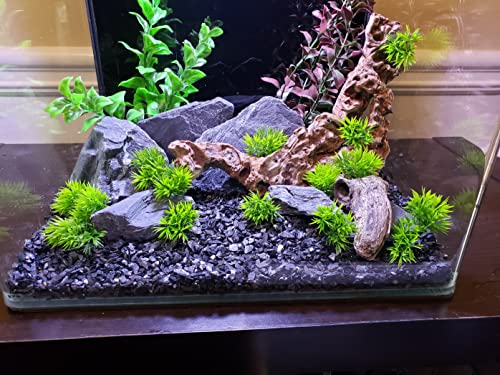 Natural Slate Stone 5 to 7 Inches (10 lbs)