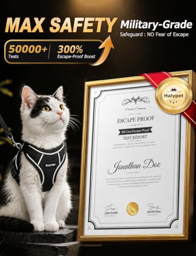 Cat Harness and Leash Set (H600 Pro Black / Small (7-12lb))