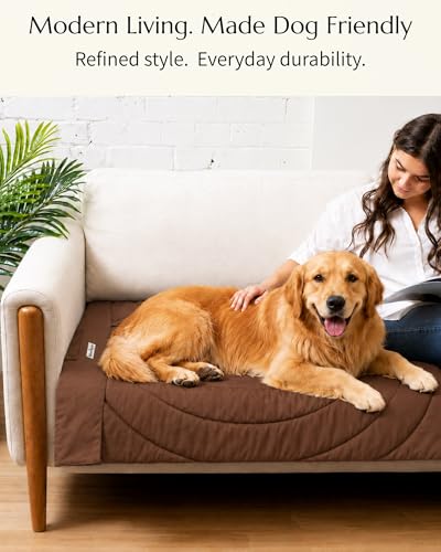 Dog Travel Mat (Brown)