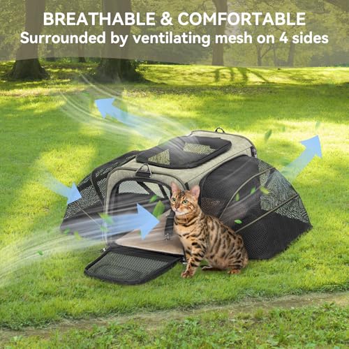 Small Double Expandable Cat Carrier for Kittens and Air Travel (16.0"L x 10.0"W x 9.0"H / Green)