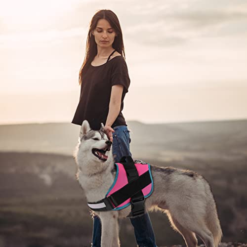 Dog Harness No (Small (Pack of 1) / RoseTurquoise)