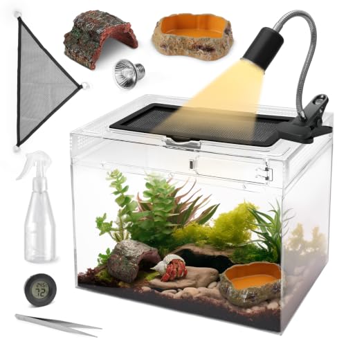 Reptile Tank Starter Kit (Small(12*9*7IN))