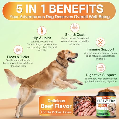 Flea and Tick Prevention for Dogs