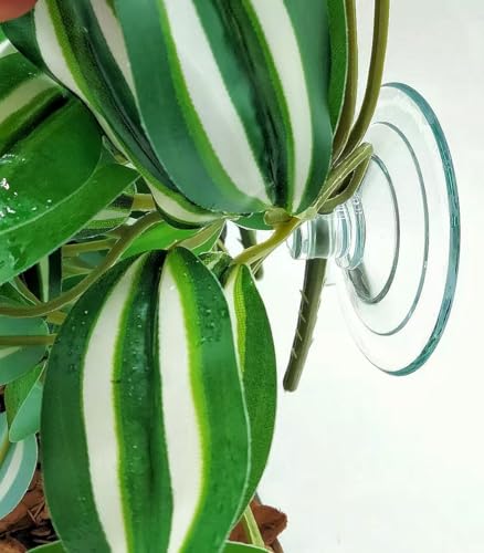 Fake Reptile Plants for Terrarium (Zebrina Green)