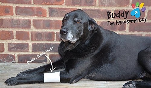 Basic Leg Bandages for Dogs (2XS 10-Pack)