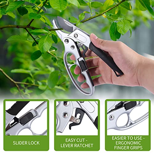 Premium Germany Pruning Shears (Black)