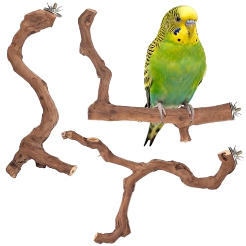 3 Piece Premium Bird Perch Stand with Natural Grape Wood Branch (Grape / 3Piece)